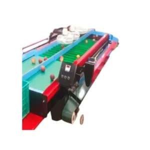 Fruit-Grading-Machine-500-kg
